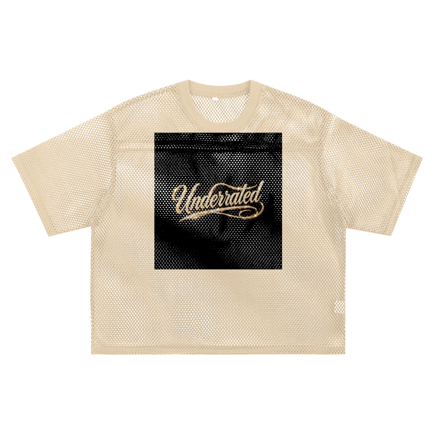 Underrated See-through Boxy Net T-Shirt