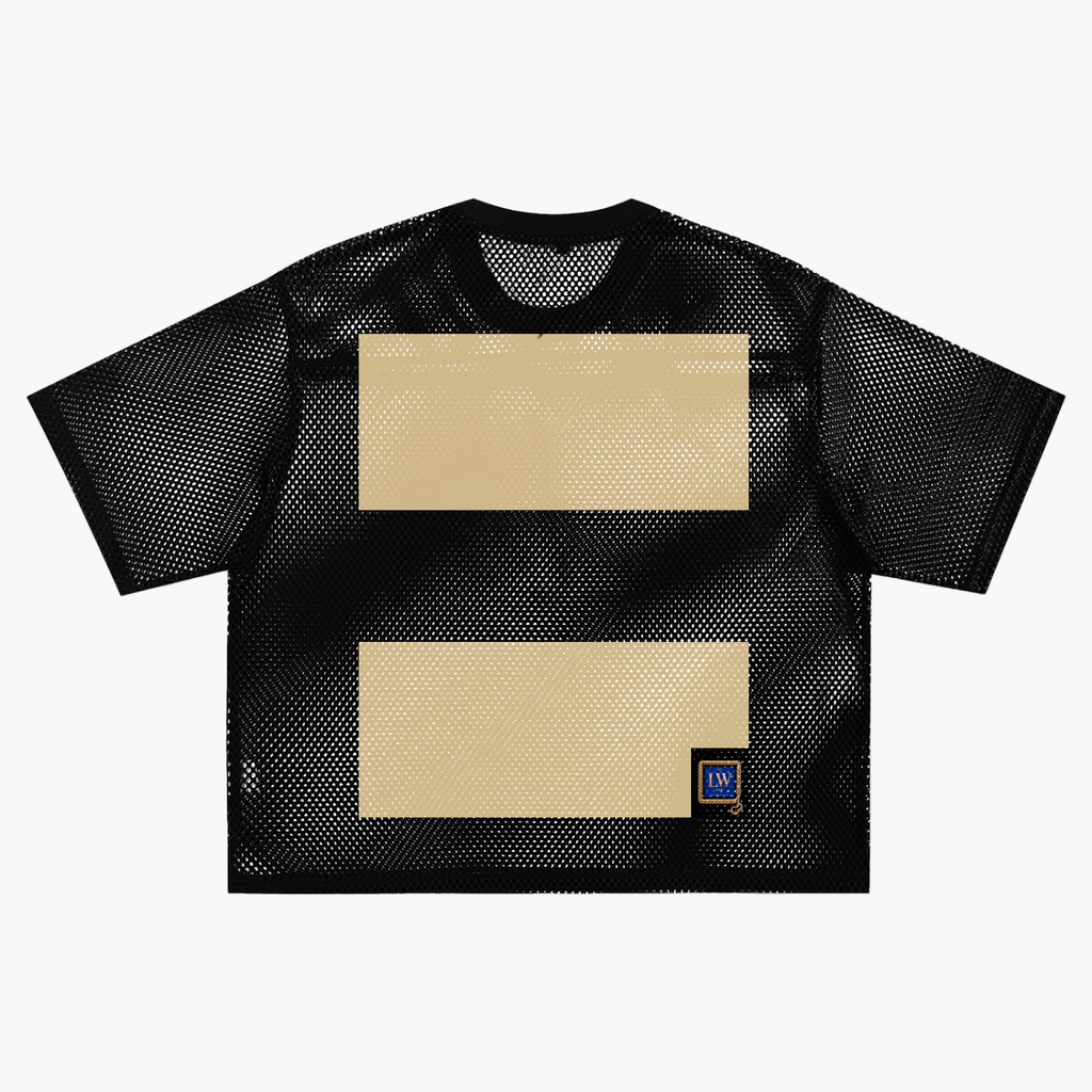 Underrated See-through Boxy Net T-Shirt