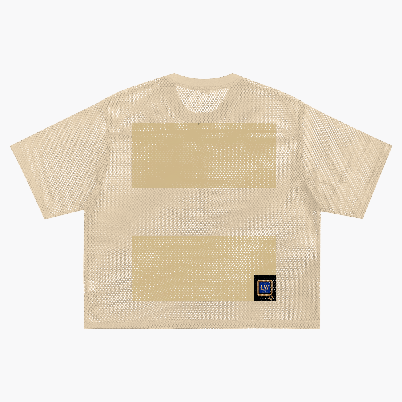 Underrated See-through Boxy Net T-Shirt