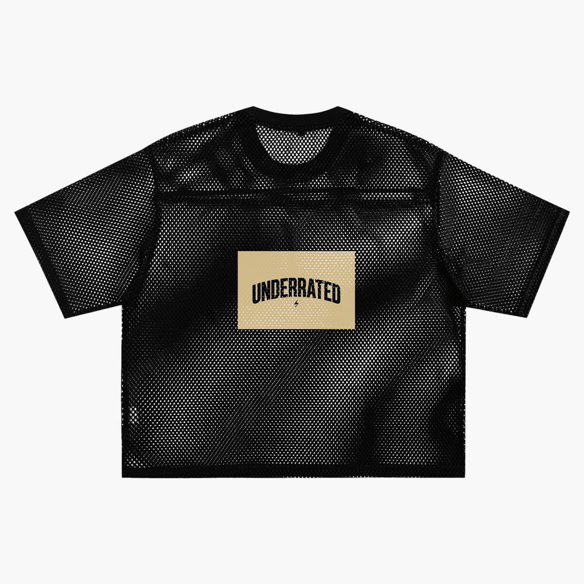 Underrated See-through Boxy Net T-Shirt - The LW Shop