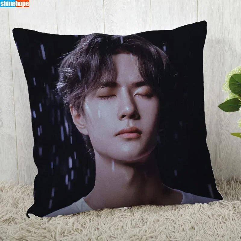 Funda de almohada personalizada – Funda de almohada decorativa moderna YiBo Wang 45x45cm