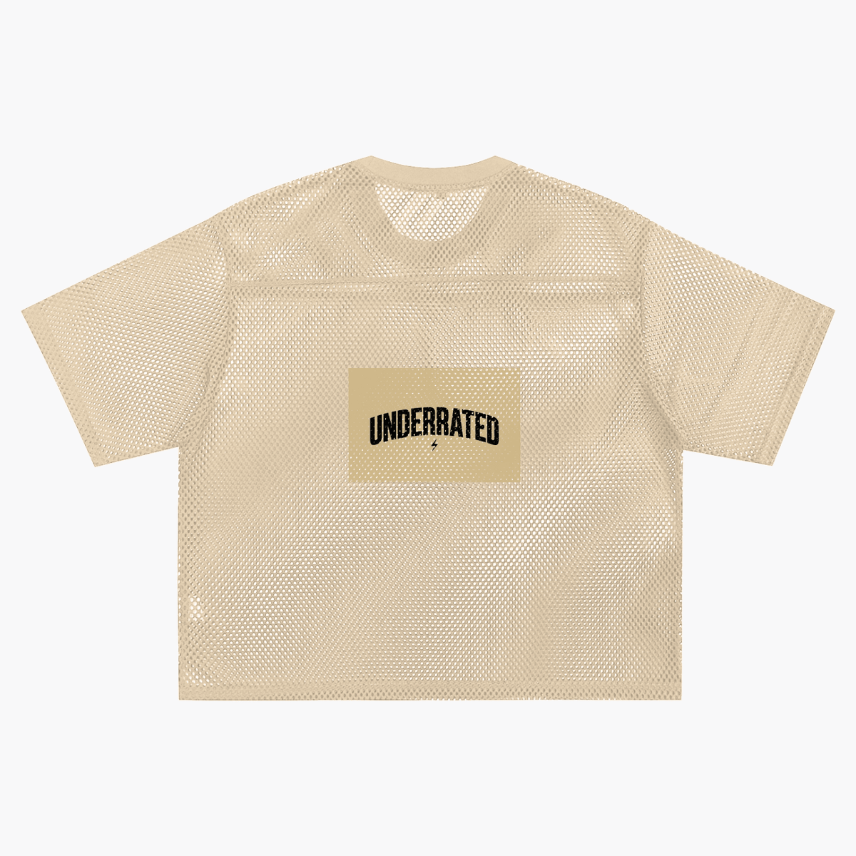 Underrated See-through Boxy Net T-Shirt - The LW Shop